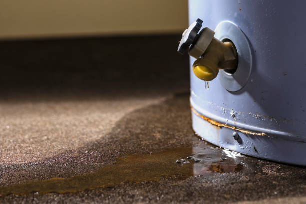 Best Water damage contractors near me  in Iuka, MS