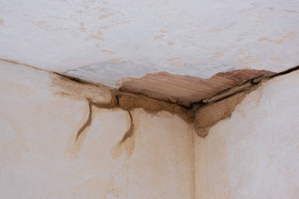 Best Commercial water damage restoration  in Iuka, MS
