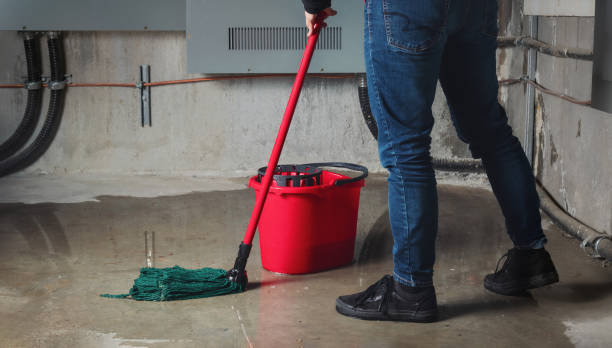 Best 24-hour water damage restoration  in Iuka, MS