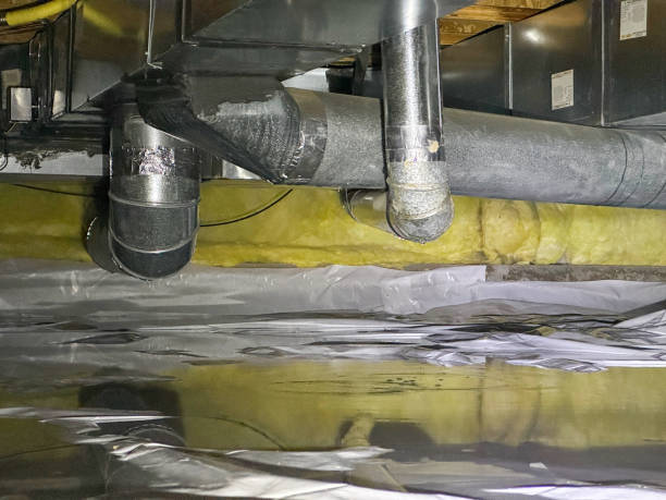Best 24-hour water damage restoration  in Iuka, MS