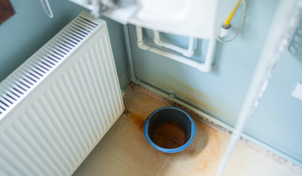 Best Professional water damage repair  in Iuka, MS