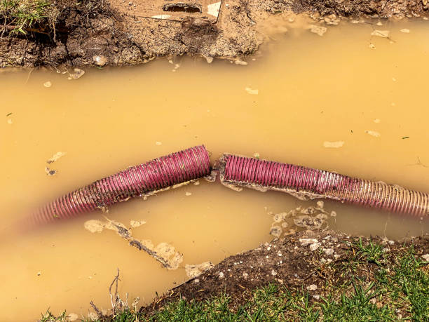Best Local water damage restoration  in Iuka, MS