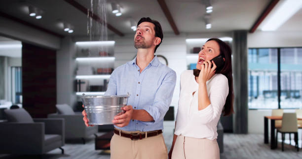 Best Ceiling water damage repair  in Iuka, MS