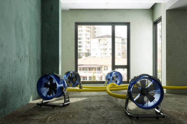 Best Basement water damage restoration  in Iuka, MS